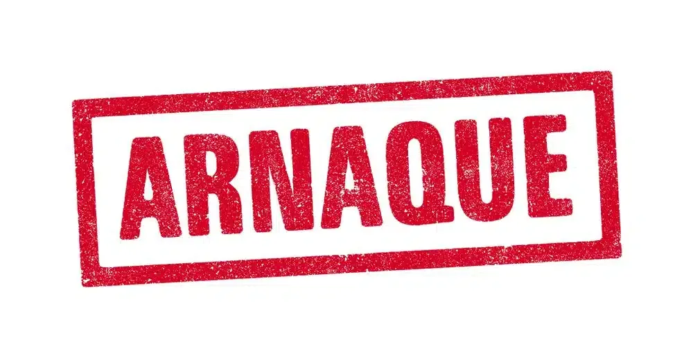 Arnaques au Bois de Chauffage : Le Guide pour ne Pas se Faire Avoir