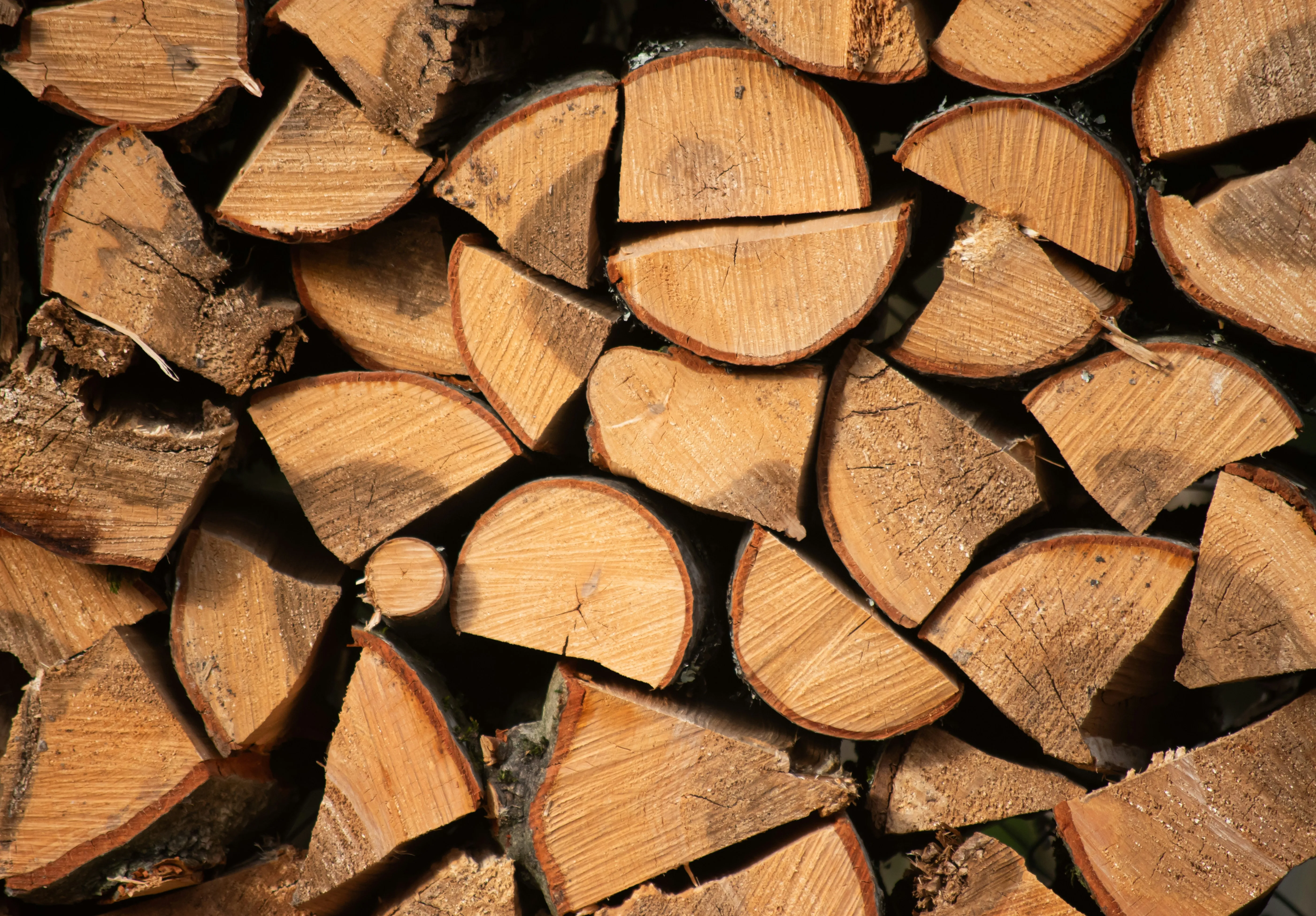 Bois de Cuisson